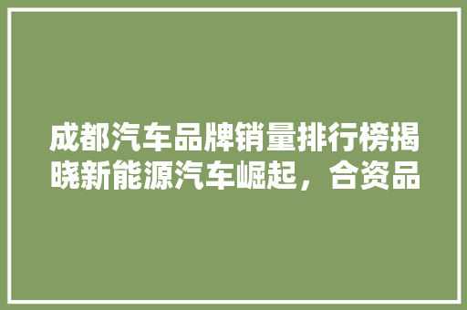 成都汽车品牌销量排行榜揭晓新能源汽车崛起，合资品牌稳居前列