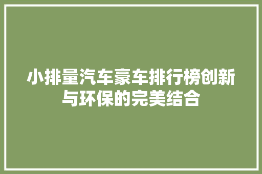 小排量汽车豪车排行榜创新与环保的完美结合