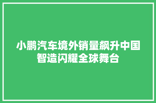 小鹏汽车境外销量飙升中国智造闪耀全球舞台
