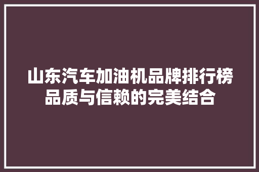 山东汽车加油机品牌排行榜品质与信赖的完美结合