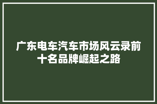 广东电车汽车市场风云录前十名品牌崛起之路