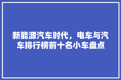 新能源汽车时代，电车与汽车排行榜前十名小车盘点