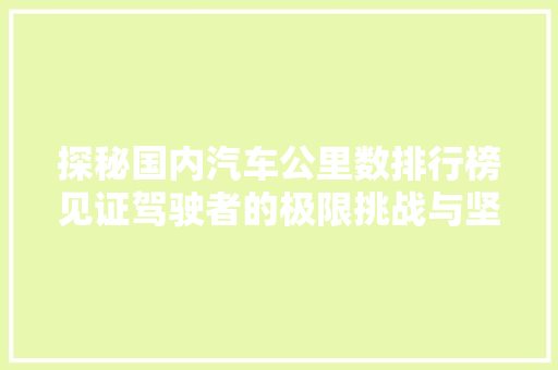 探秘国内汽车公里数排行榜见证驾驶者的极限挑战与坚持