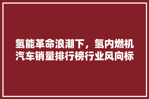 氢能革命浪潮下，氢内燃机汽车销量排行榜行业风向标