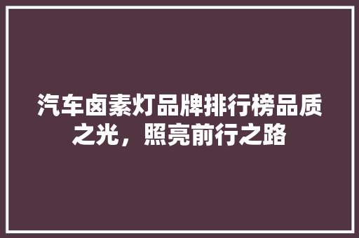 汽车卤素灯品牌排行榜品质之光，照亮前行之路