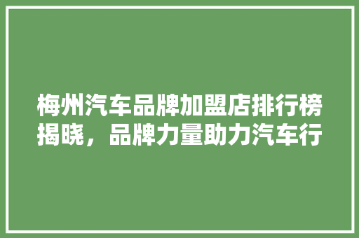 梅州汽车品牌加盟店排行榜揭晓，品牌力量助力汽车行业新篇章