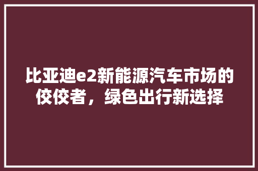 比亚迪e2新能源汽车市场的佼佼者，绿色出行新选择