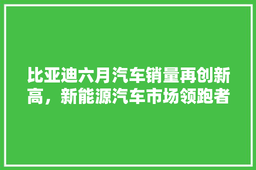 比亚迪六月汽车销量再创新高，新能源汽车市场领跑者地位稳固