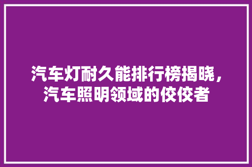 汽车灯耐久能排行榜揭晓，汽车照明领域的佼佼者