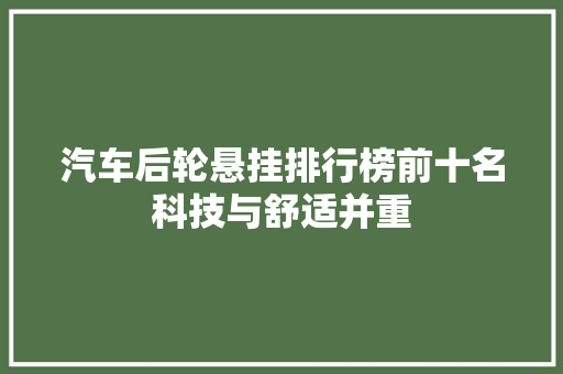 汽车后轮悬挂排行榜前十名科技与舒适并重