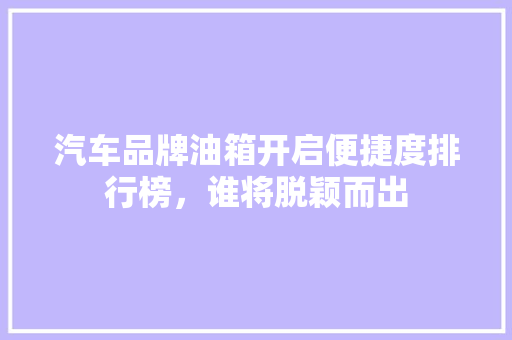 汽车品牌油箱开启便捷度排行榜，谁将脱颖而出