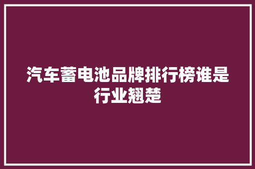 汽车蓄电池品牌排行榜谁是行业翘楚