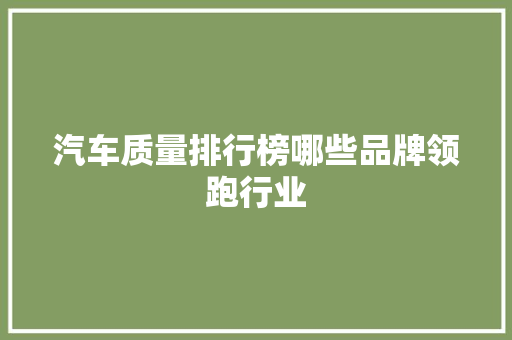 汽车质量排行榜哪些品牌领跑行业