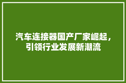 汽车连接器国产厂家崛起，引领行业发展新潮流