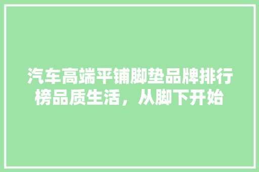 汽车高端平铺脚垫品牌排行榜品质生活，从脚下开始