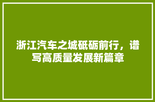 浙江汽车之城砥砺前行，谱写高质量发展新篇章