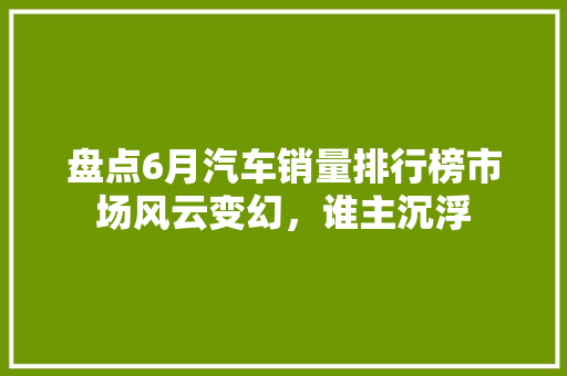盘点6月汽车销量排行榜市场风云变幻，谁主沉浮