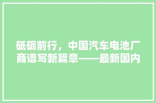 砥砺前行，中国汽车电池厂商谱写新篇章——最新国内汽车电池厂商排行榜