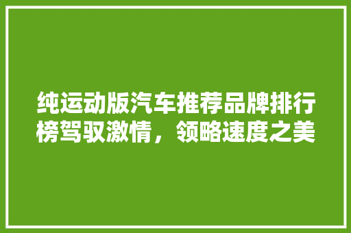 纯运动版汽车推荐品牌排行榜驾驭激情，领略速度之美