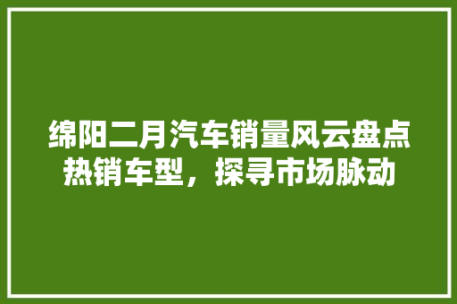 绵阳二月汽车销量风云盘点热销车型，探寻市场脉动