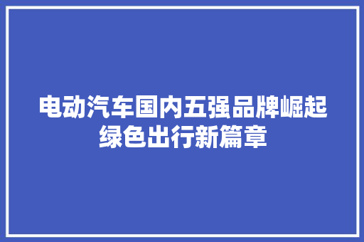 电动汽车国内五强品牌崛起绿色出行新篇章