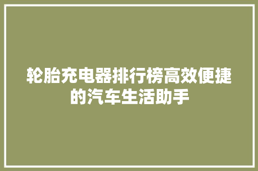 轮胎充电器排行榜高效便捷的汽车生活助手