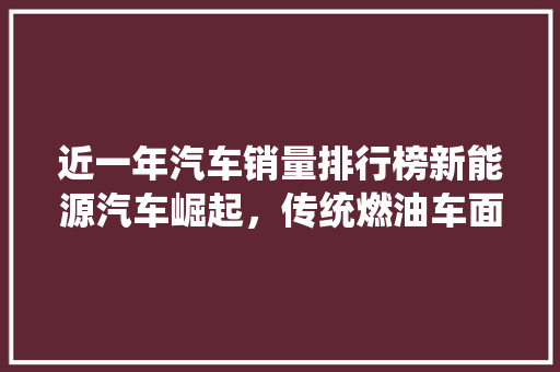 近一年汽车销量排行榜新能源汽车崛起，传统燃油车面临挑战