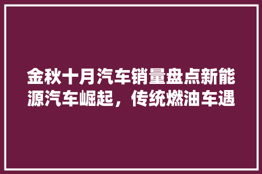 金秋十月汽车销量盘点新能源汽车崛起，传统燃油车遇挑战