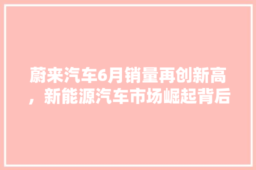 蔚来汽车6月销量再创新高，新能源汽车市场崛起背后的秘密