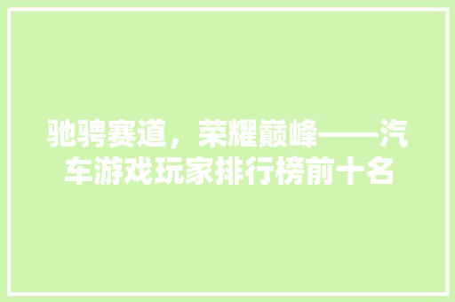 驰骋赛道，荣耀巅峰——汽车游戏玩家排行榜前十名