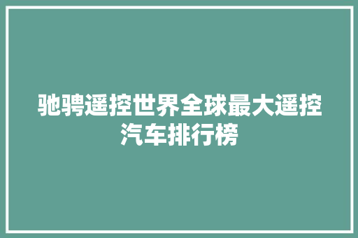 驰骋遥控世界全球最大遥控汽车排行榜