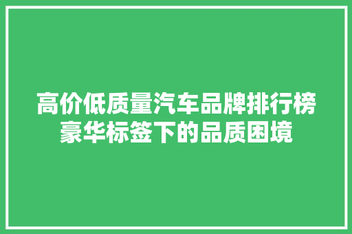 高价低质量汽车品牌排行榜豪华标签下的品质困境