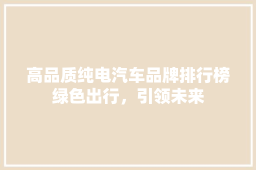 高品质纯电汽车品牌排行榜绿色出行，引领未来