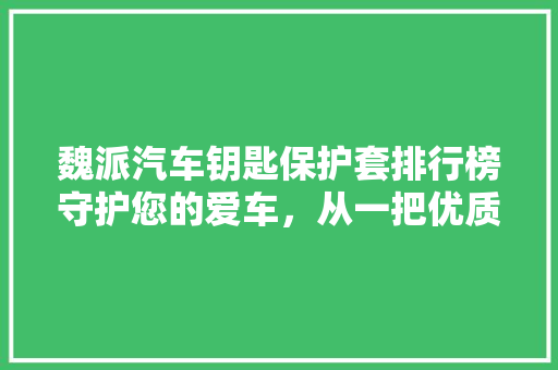 魏派汽车钥匙保护套排行榜守护您的爱车，从一把优质钥匙保护套开始