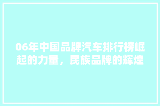 06年中国品牌汽车排行榜崛起的力量，民族品牌的辉煌时刻