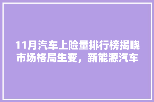 11月汽车上险量排行榜揭晓市场格局生变，新能源汽车崛起