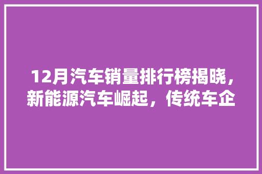 12月汽车销量排行榜揭晓，新能源汽车崛起，传统车企面临挑战