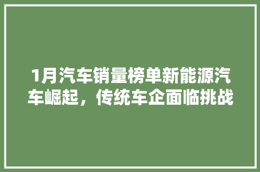 1月汽车销量榜单新能源汽车崛起，传统车企面临挑战