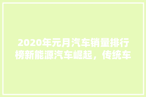 2020年元月汽车销量排行榜新能源汽车崛起，传统车企面临挑战