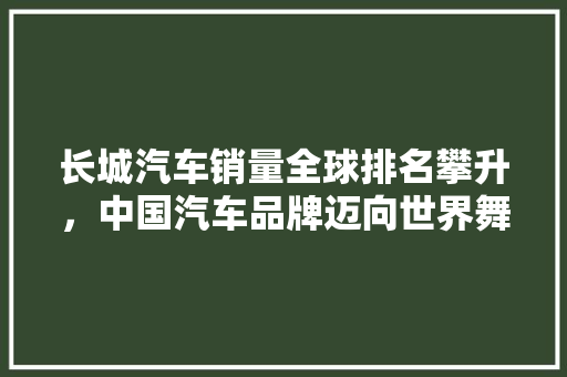 长城汽车销量全球排名攀升，中国汽车品牌迈向世界舞台