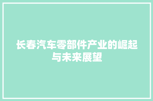 长春汽车零部件产业的崛起与未来展望