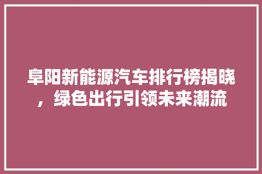 阜阳新能源汽车排行榜揭晓，绿色出行引领未来潮流