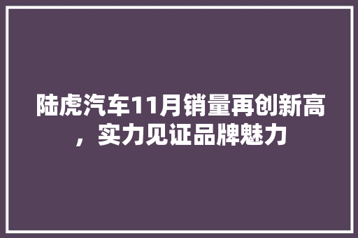 陆虎汽车11月销量再创新高，实力见证品牌魅力