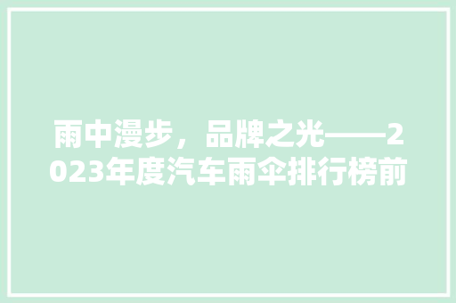 雨中漫步，品牌之光——2023年度汽车雨伞排行榜前十名揭晓