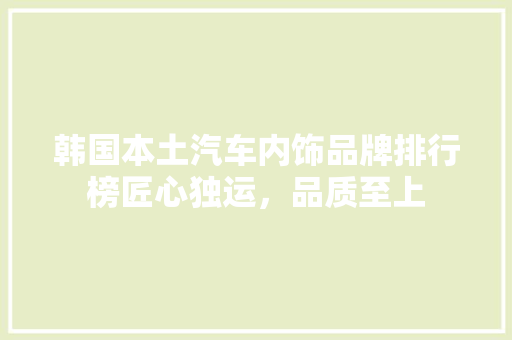 韩国本土汽车内饰品牌排行榜匠心独运，品质至上