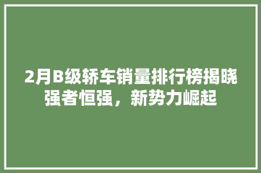 2月B级轿车销量排行榜揭晓强者恒强，新势力崛起