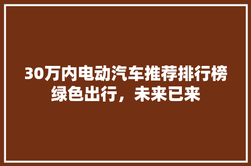 30万内电动汽车推荐排行榜绿色出行，未来已来