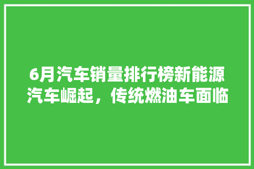 6月汽车销量排行榜新能源汽车崛起，传统燃油车面临挑战