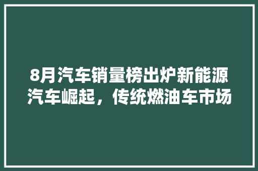 8月汽车销量榜出炉新能源汽车崛起，传统燃油车市场格局生变