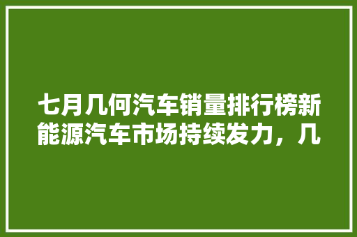 七月几何汽车销量排行榜新能源汽车市场持续发力，几何品牌引领潮流